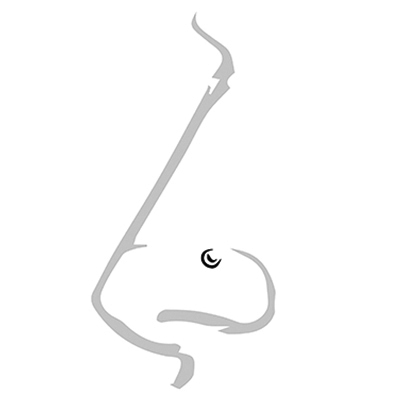 NOSTRIL PIERCING – PIERCING NOSA – PŁATEK