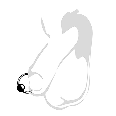 REVERSE PRINCE ALBERT PIERCING