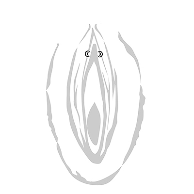 VERTICAL/ HORIZONTAL  HOOD PIERCING