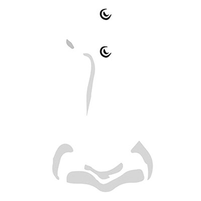 VERTICAL BRIDGE PIERCING